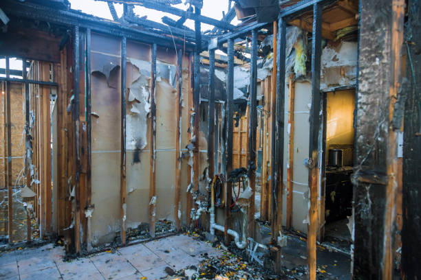 Professional Fire Damage Cleanup technician working in Carrollton, KY